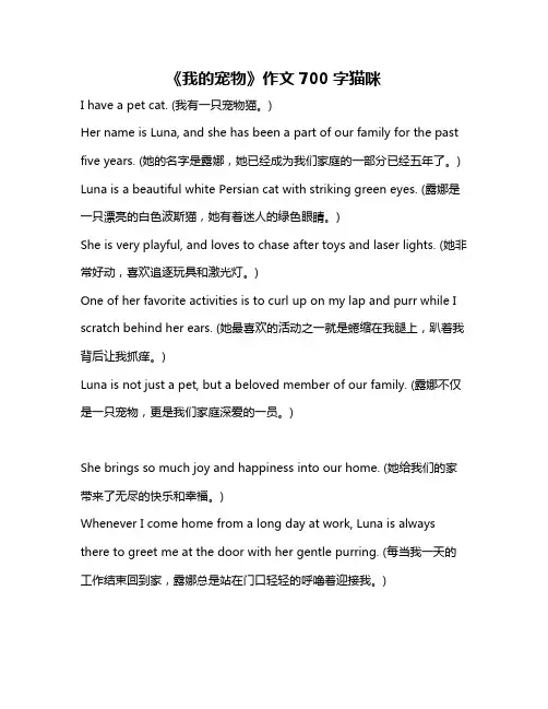 《我的宠物》作文700字猫咪