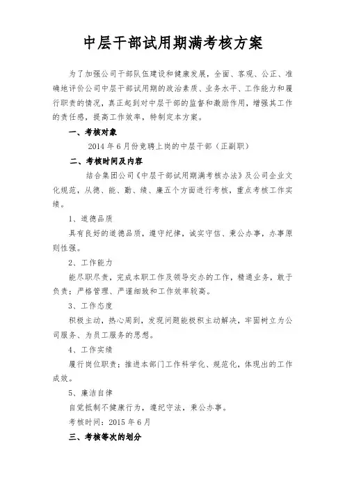 公司中层干部副职试用期考核实施方案
