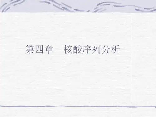 第四章_核酸序列分析