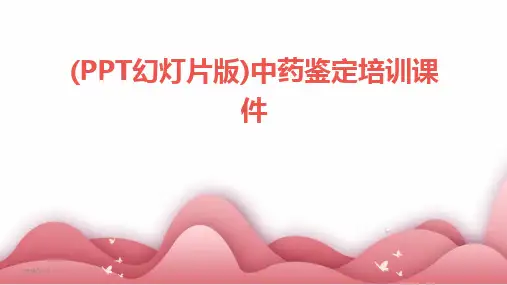 2024版(PPT幻灯片版)中药鉴定培训课件