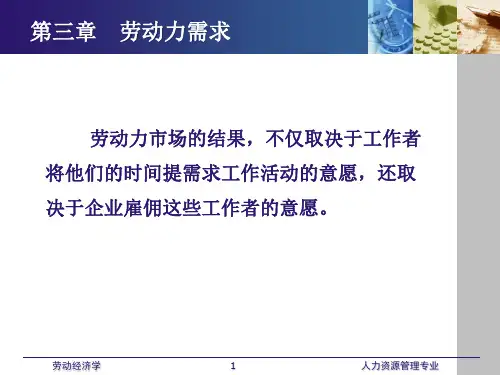劳动经济学课件(全) 第三章 劳动力需求