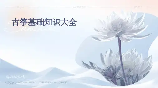 2024年度古筝基础知识大全