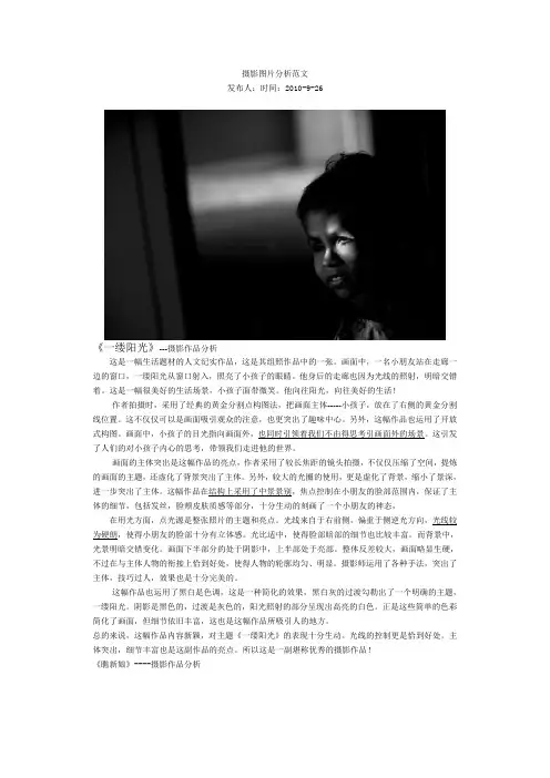 图片分析范文