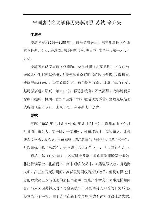 宋词唐诗名词解释历史李清照,苏轼,辛弃矢