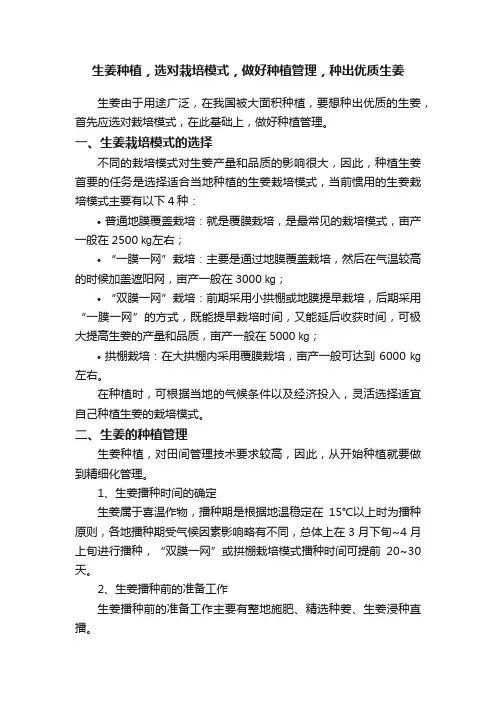 生姜种植，选对栽培模式，做好种植管理，种出优质生姜