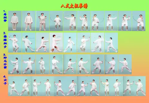 8式太极拳图解(精)