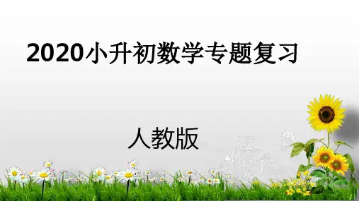 六年级下册数学2020小升初专题复习：综合与实践人教新课标ppt(荐)(22张)标准课件