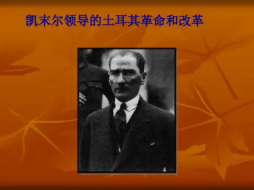 凯末尔领导的土耳其革命和改革