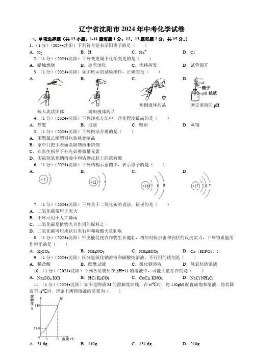 辽宁省沈阳市2024年中考化学试卷