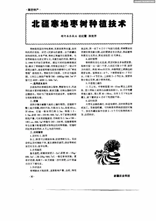 北疆寒地枣树种植技术