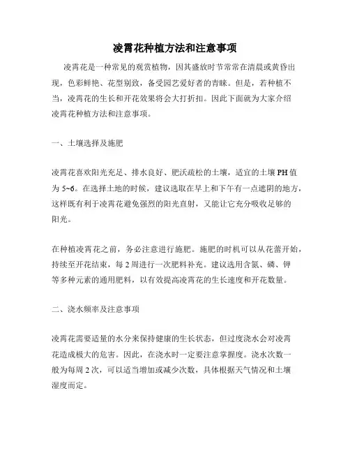 凌霄花种植方法和注意事项