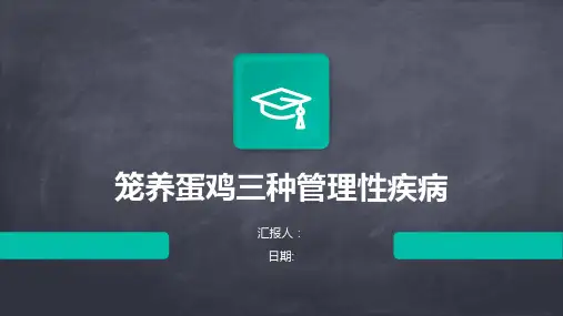 笼养蛋鸡三种管理性疾病