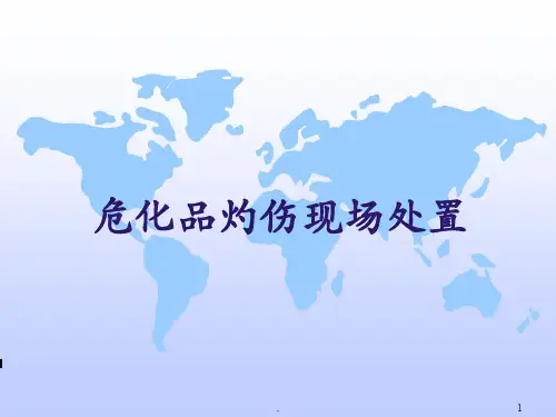 危化品灼伤现场处置PPT课件