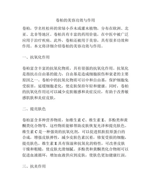 卷柏的美容功效与作用
