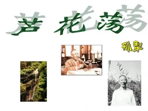 八年级语文芦花荡3(新201907)