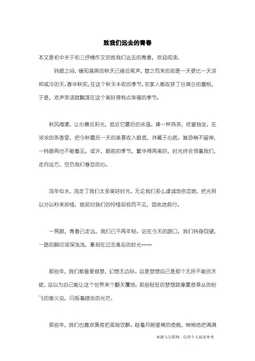 初三抒情作文：致我们远去的青春