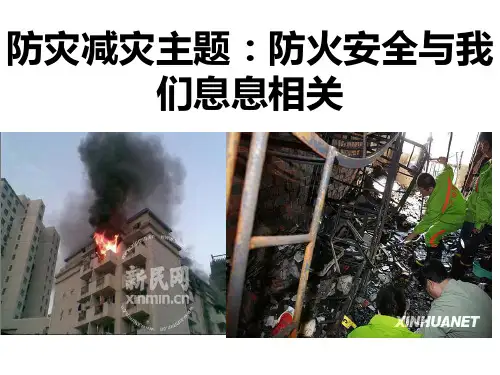 防灾减灾主题班会课件ppt