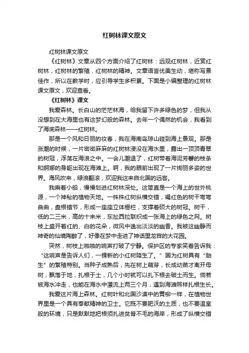 红树林课文原文