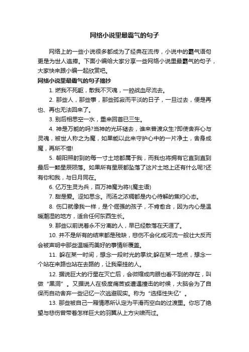 网络小说里最霸气的句子