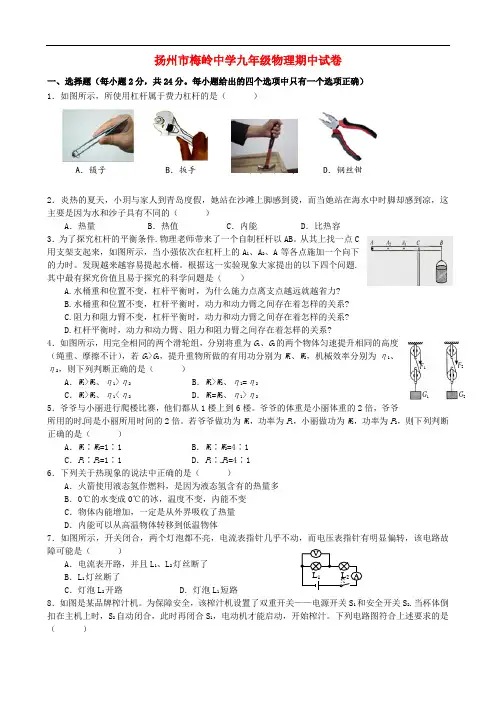 江苏省扬州梅岭中学九年级物理上学期期中试题 苏科版