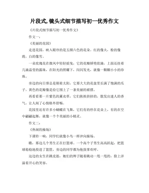 片段式,镜头式细节描写初一优秀作文