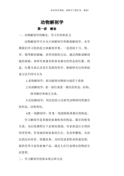 动物解剖学