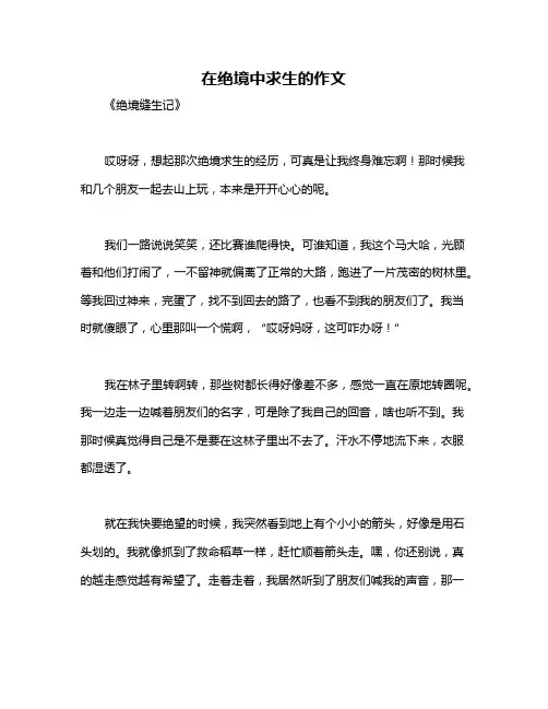 在绝境中求生的作文
