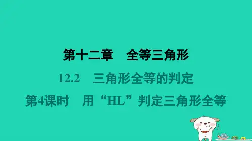 河北省八年级数学上册12-2三角形全等的判定第4课时用“HL”判定三角形全等新版新人教版