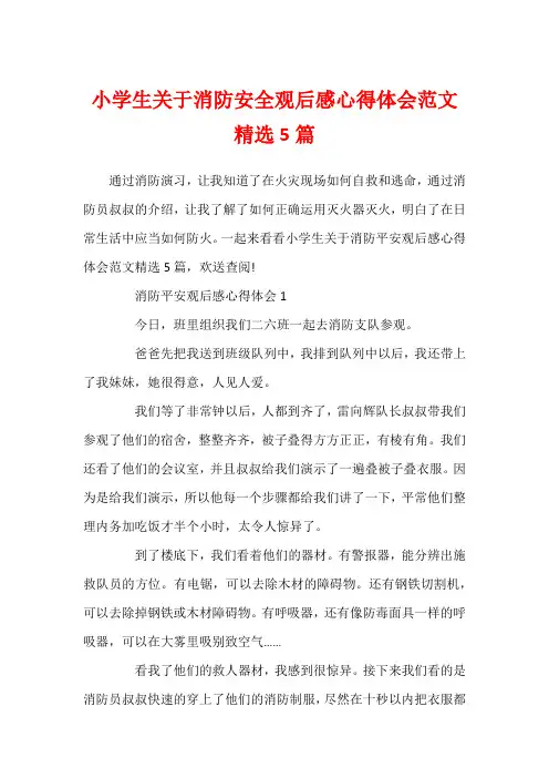 小学生关于消防安全观后感心得体会范文精选5篇