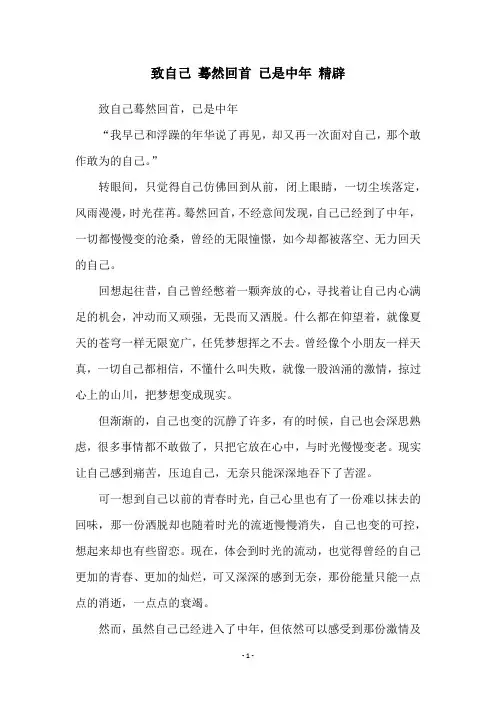 致自己 蓦然回首 已是中年 精辟