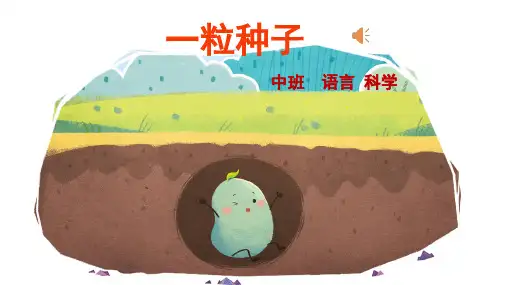 一粒种子幼儿园中班科学PPT课件