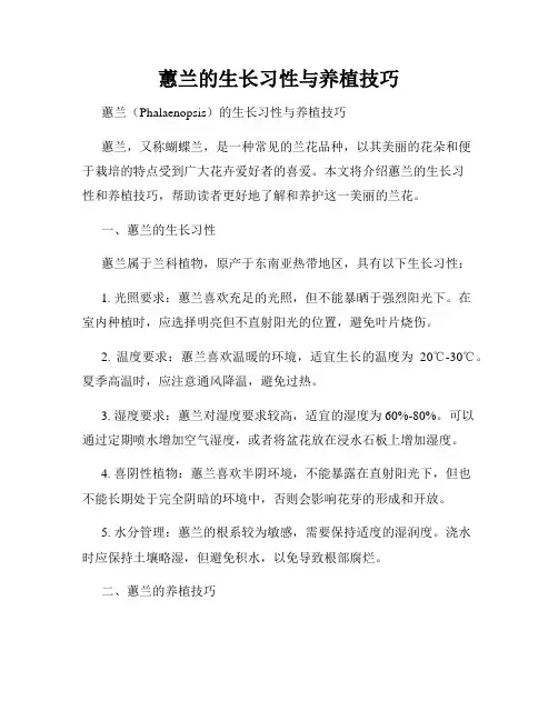 蕙兰的生长习性与养植技巧