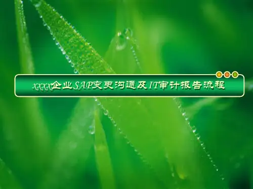 20100409XX SAP 企业SAP变更沟通及IT审计报告流程