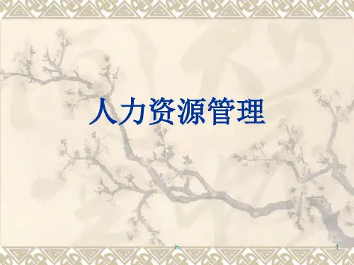 《人力资源管理概述》PPT课件