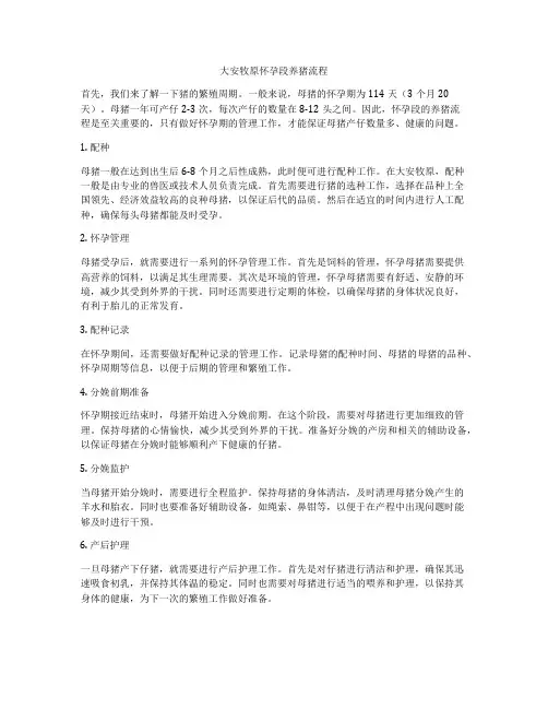大安牧原怀孕段养猪流程