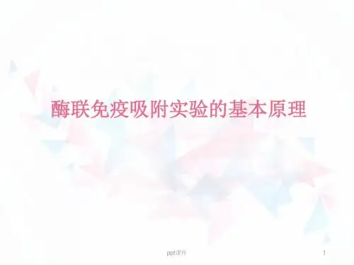 酶联免疫吸附试验的基本原理  ppt课件
