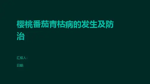 樱桃番茄青枯病的发生及防治