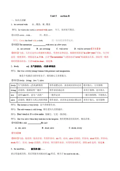 unit5 sectionB知识点精讲精练-英语九年级全一册教材知识点精讲精练(人教新目标版)