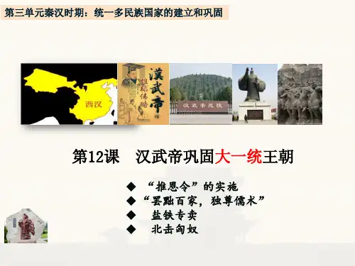 人教部编版七年级历史上册汉武帝巩固大一统王朝