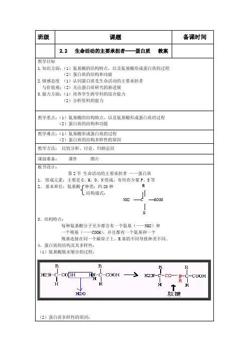 生物：2.2《生命活动的主要承担者──蛋白质》教案(新人教版必修1)河北地区专用