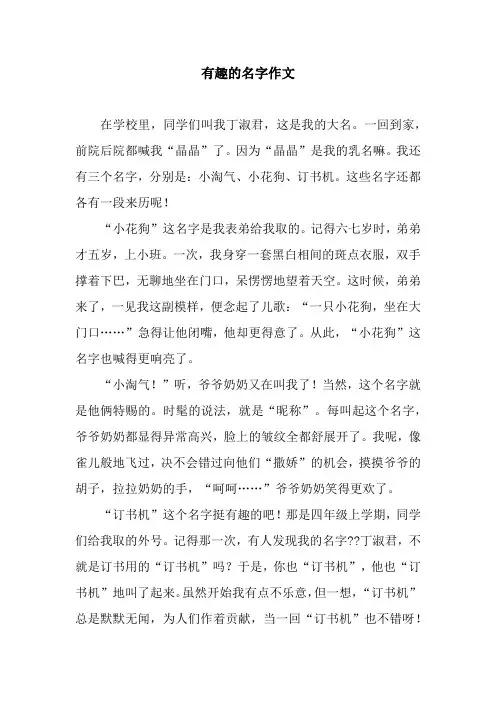有趣的名字作文