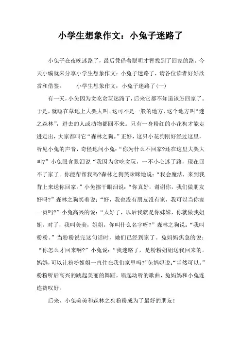 小学生想象作文：小兔子迷路了