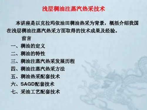 浅层稠油热采技术