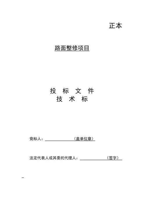 投标文件   技术标   道路