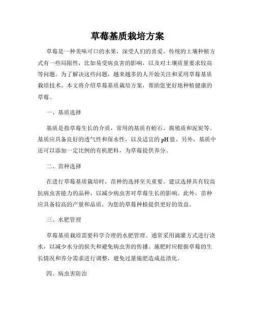 草莓基质栽培方案