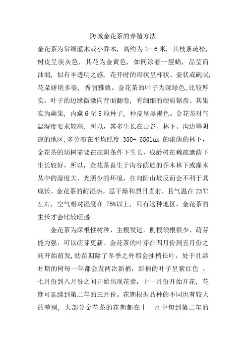 防城金花茶的养殖方法