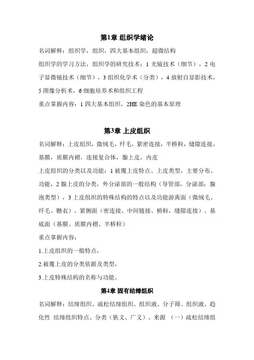 B282-组胚实验-组织学实验-组胚学知识点