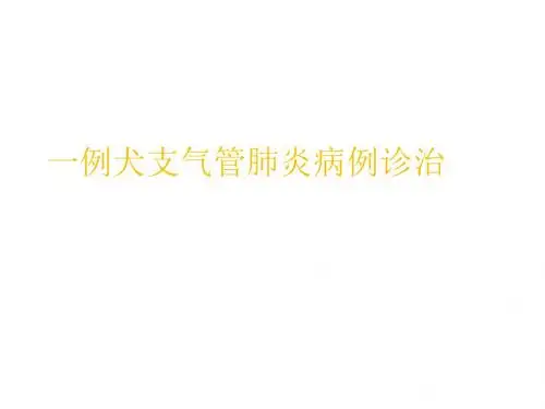 一例犬支气管肺炎病例诊治课件