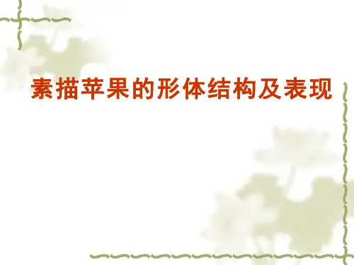 高中美术_素描苹果的形体结构及表现教学课件设计