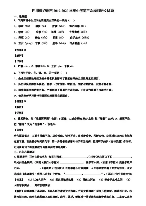 四川省泸州市2019-2020学年中考第三次模拟语文试题含解析